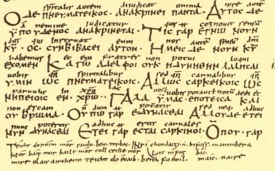 Szakértői cikk a Kisvállalkozz okosan oldalán